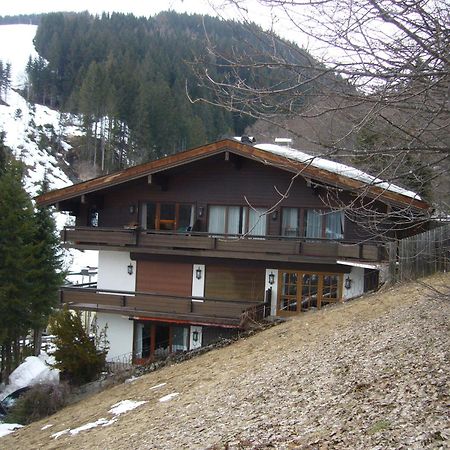 Appartement Bernkogel سالباخ هينترغليم المظهر الخارجي الصورة